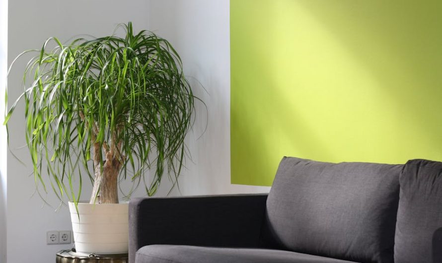 Ishimatsu кондиционеры в Химках